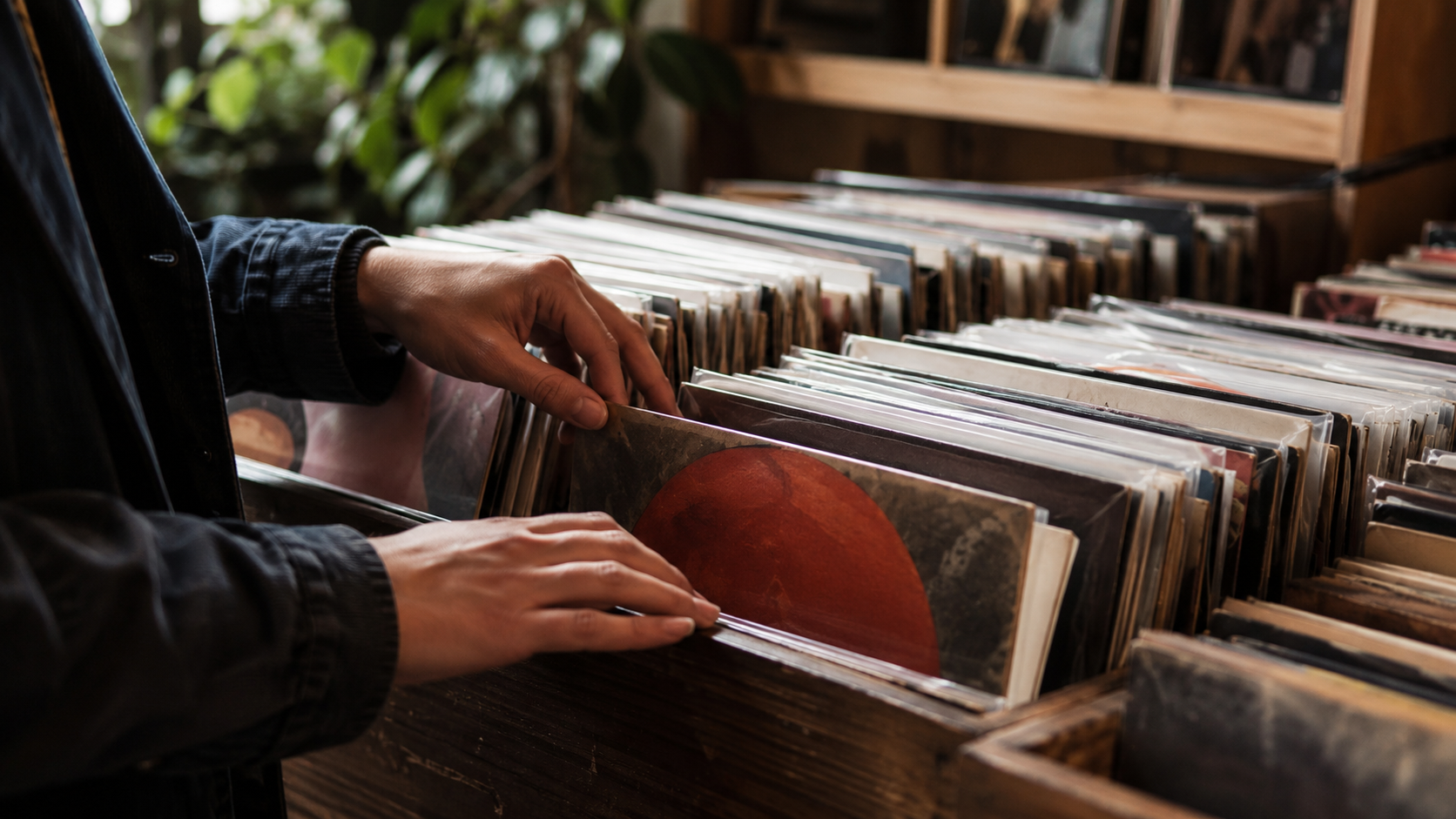 Mains feuilletant des vinyles dans un bac chez un disquaire