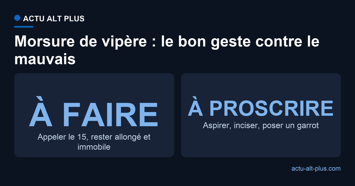 Morsure de vipère, le bon réflexe contre le mauvais : appeler le 15 et rester immobile, contre aspirer, inciser ou poser un garrot