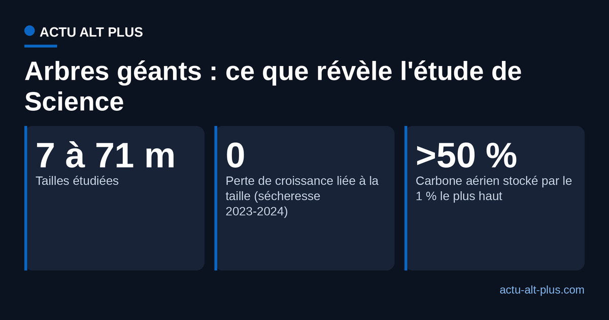 Trois chiffres clés de l'étude sur les Dipterocarpes géants : amplitude des tailles, résistance à la sécheresse, part de carbone.