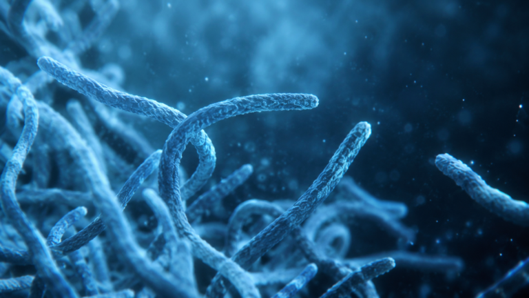 Vue microscopique abstraite de colonies bactériennes filamenteuses en tons bleutés