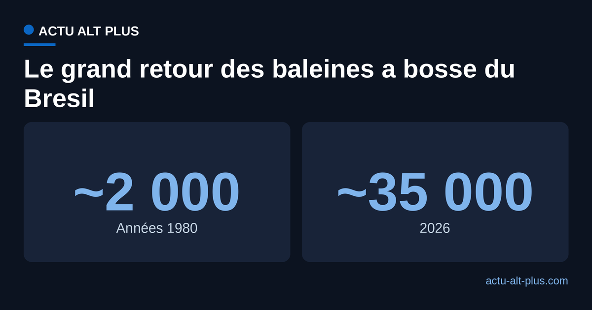 Population de baleines a bosse du stock reproducteur de l'Atlantique Sud-Ouest : environ 2 000 dans les annees 1980, environ 35 000 en 2026