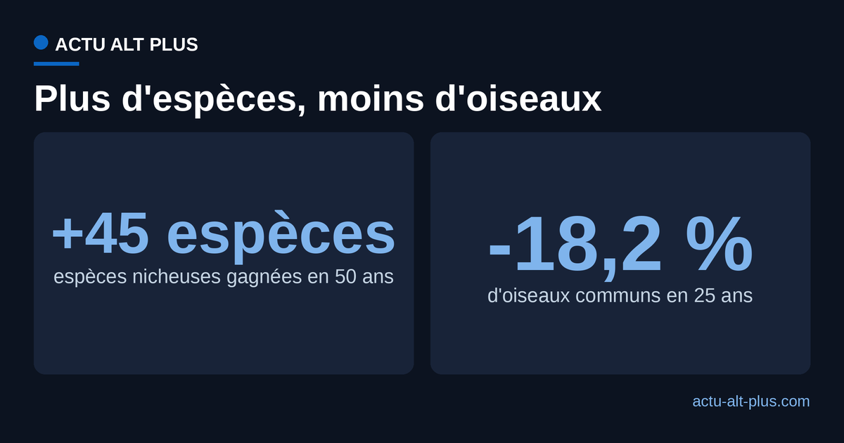 En cinquante ans, la France a gagné 45 espèces nicheuses mais perdu 18,2 % de ses oiseaux communs en vingt-cinq ans