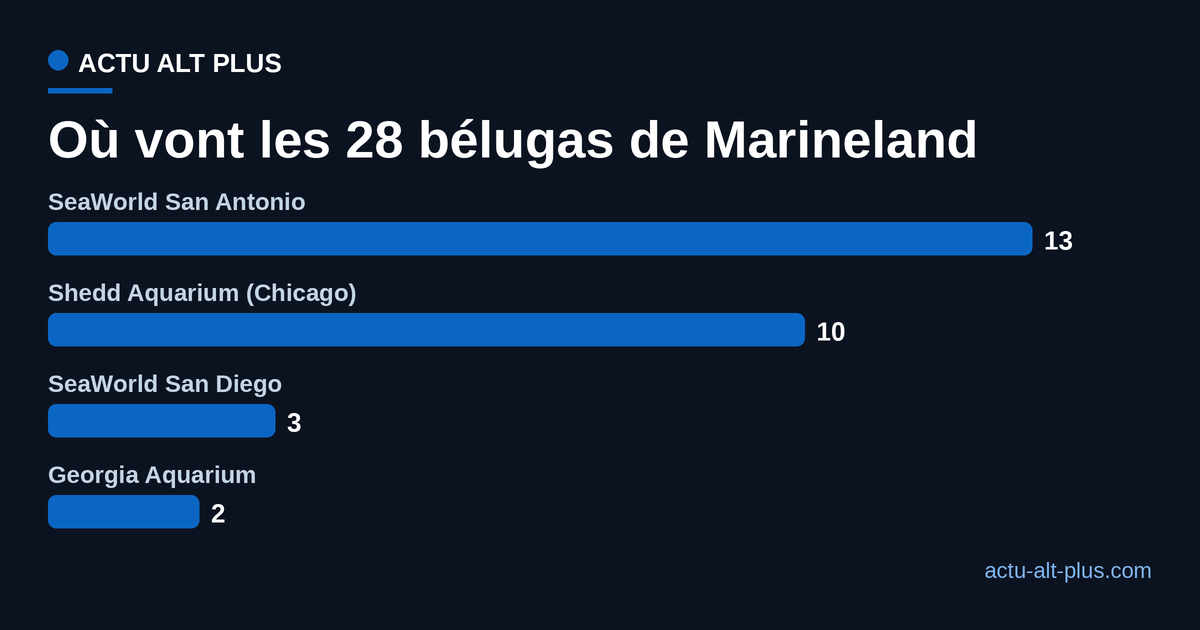 Répartition des 28 bélugas de Marineland : 13 à SeaWorld San Antonio, 10 au Shedd Aquarium, 3 à SeaWorld San Diego, 2 au Georgia Aquarium