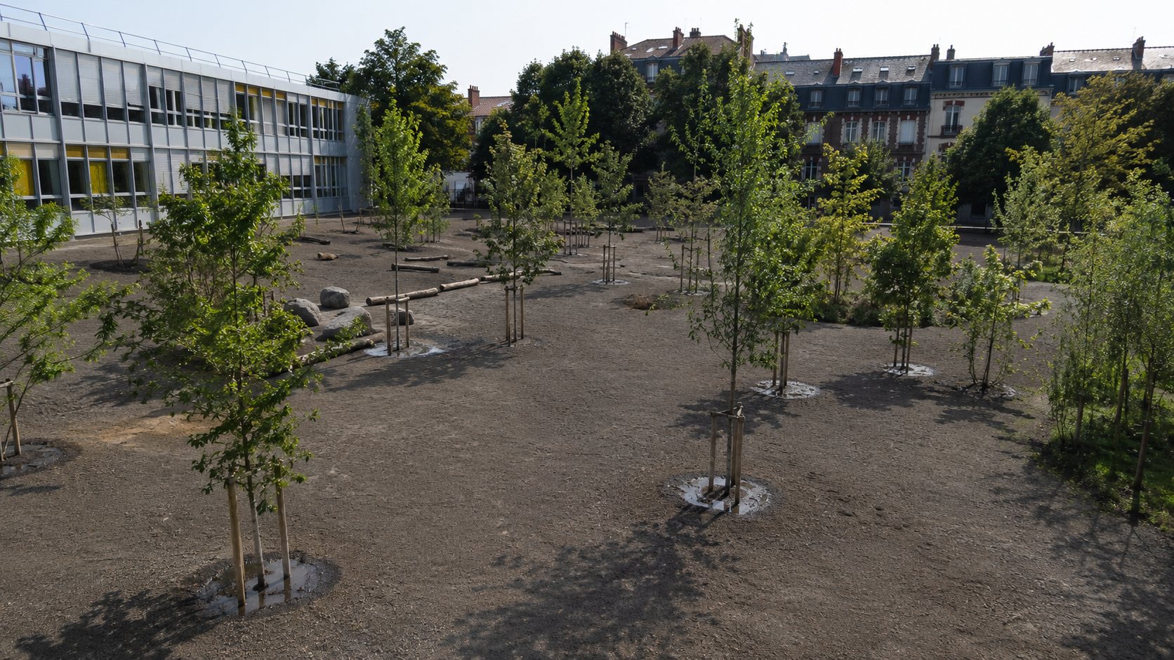 Une cour d'ecole debitumee avec de jeunes arbres plantes a la place de l'asphalte
