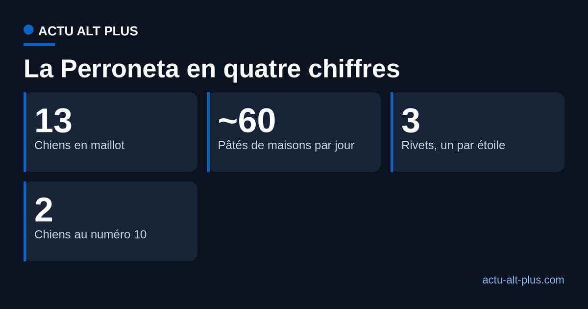 La Perroneta en chiffres : treize chiens en maillot, environ soixante pâtés de maisons par jour, trois rivets pour trois étoiles, deux chiens au numéro 10