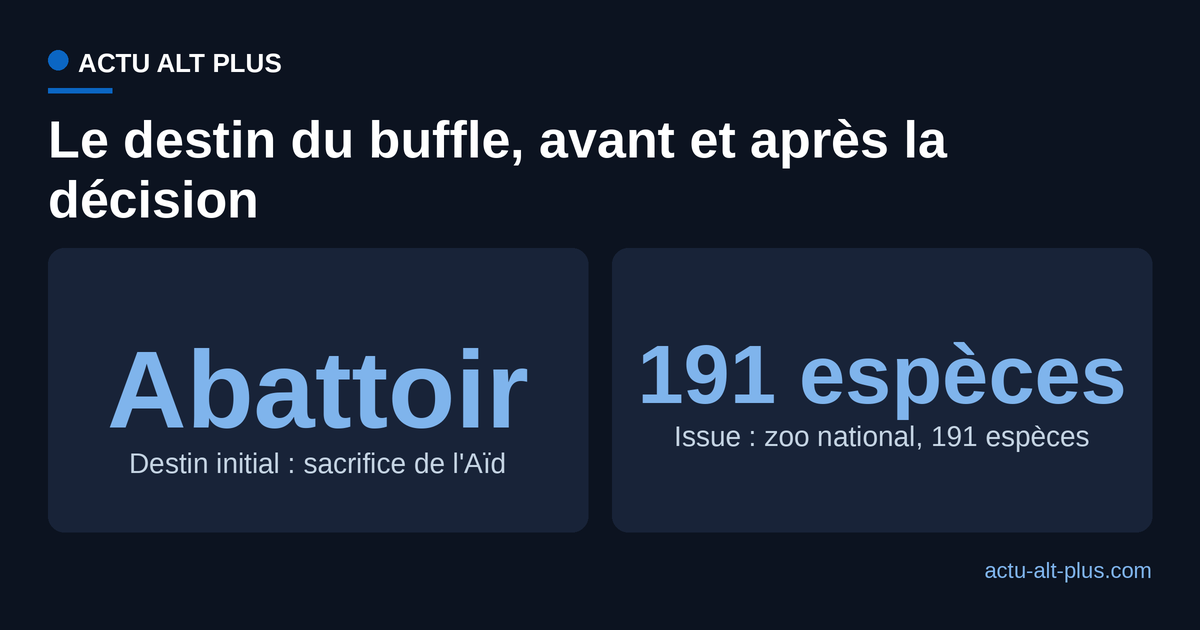 Le destin du buffle a basculé : promis au sacrifice de l'Aïd, il rejoint un zoo national de 191 espèces