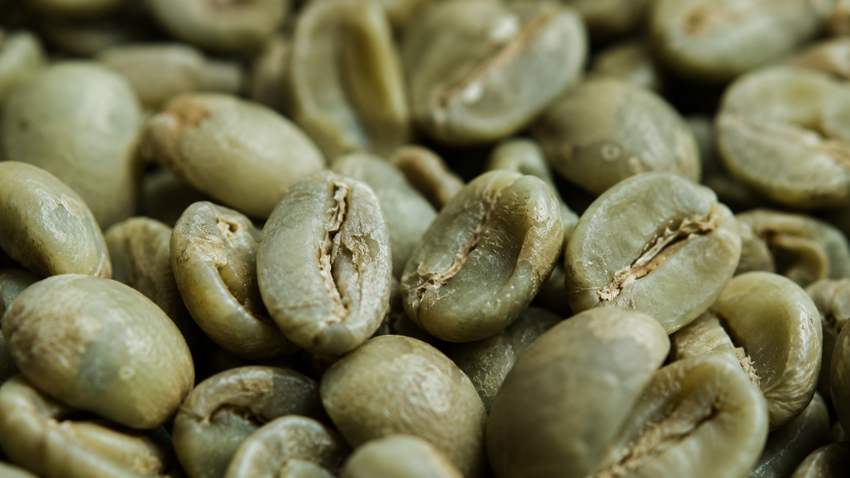 Grains de café verts non torréfiés en gros plan, texture détaillée