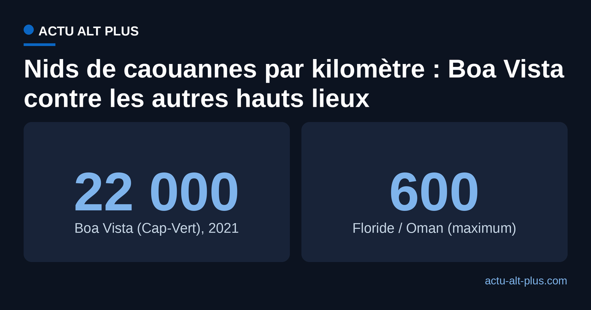 Densité de nids de caouannes : 22 000 par kilomètre à Boa Vista en 2021, contre jusqu'à 600 en Floride ou à Oman