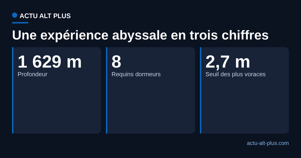 Trois chiffres de l'expérience : 1 629 mètres de profondeur, 8 requins dormeurs observés, 2,7 mètres à partir desquels les requins deviennent les plus voraces.