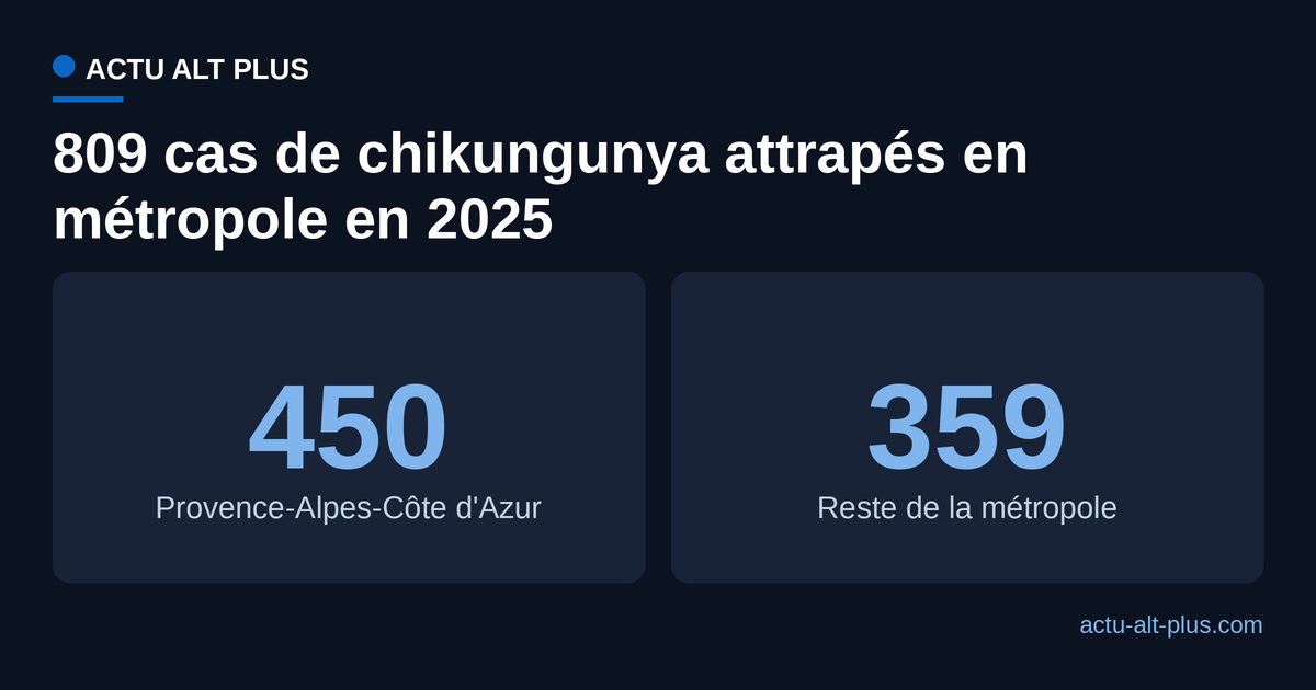 En 2025, 450 des 809 cas autochtones de chikungunya se sont concentrés en PACA