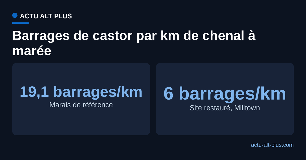 Densité de barrages de castor par kilomètre de chenal : marais de référence contre site restauré de Milltown Island