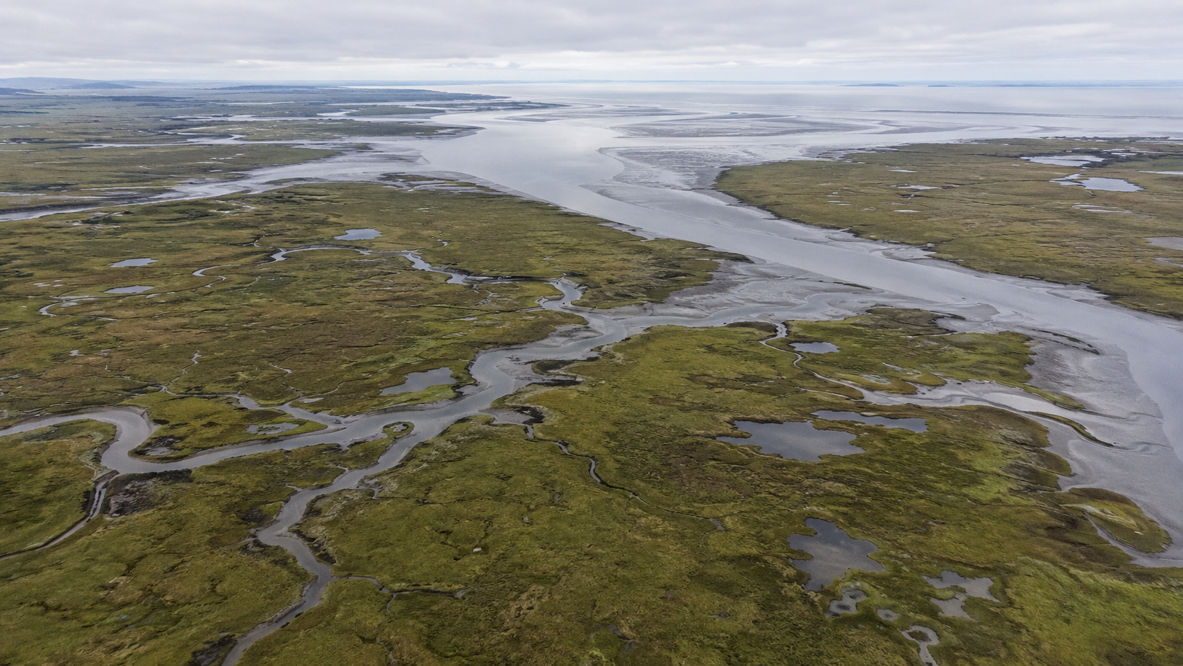 Vue aérienne d'un delta à marée basse, avec un réseau de chenaux étroits serpentant dans le marais