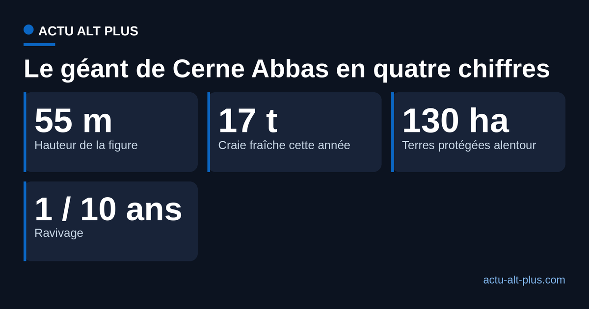 Le chantier décennal du géant en chiffres : 55 mètres de haut, 17 tonnes de craie, 130 hectares protégés, un ravivage par décennie