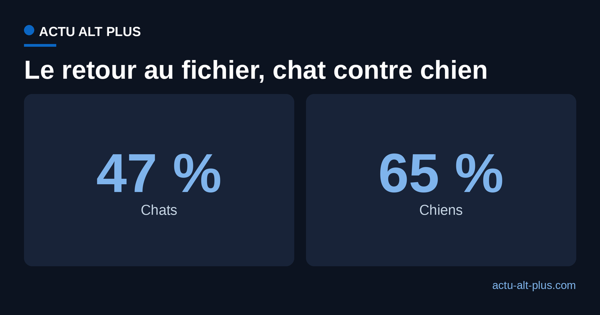 Taux de retour déclaré des animaux perdus en France en 2025, comparé entre les chats et les chiens