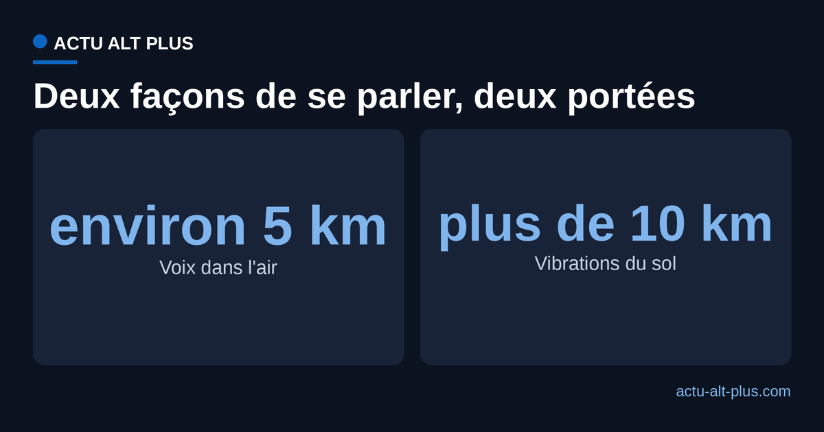 Portee de communication de l'elephant : environ 5 km par la voix aerienne, plus de 10 km par les vibrations du sol.
