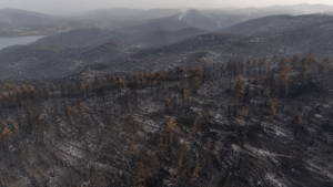 Feux de forêt : plus de 41 000 hectares brûlés à la mi-juillet 2026, quatre fois et demie la moyenne