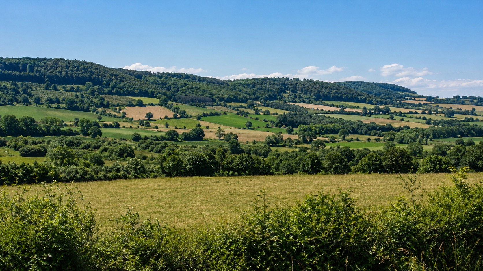 Campagne francaise verdoyante avec champs, haies et collines au loin sous un ciel d'ete