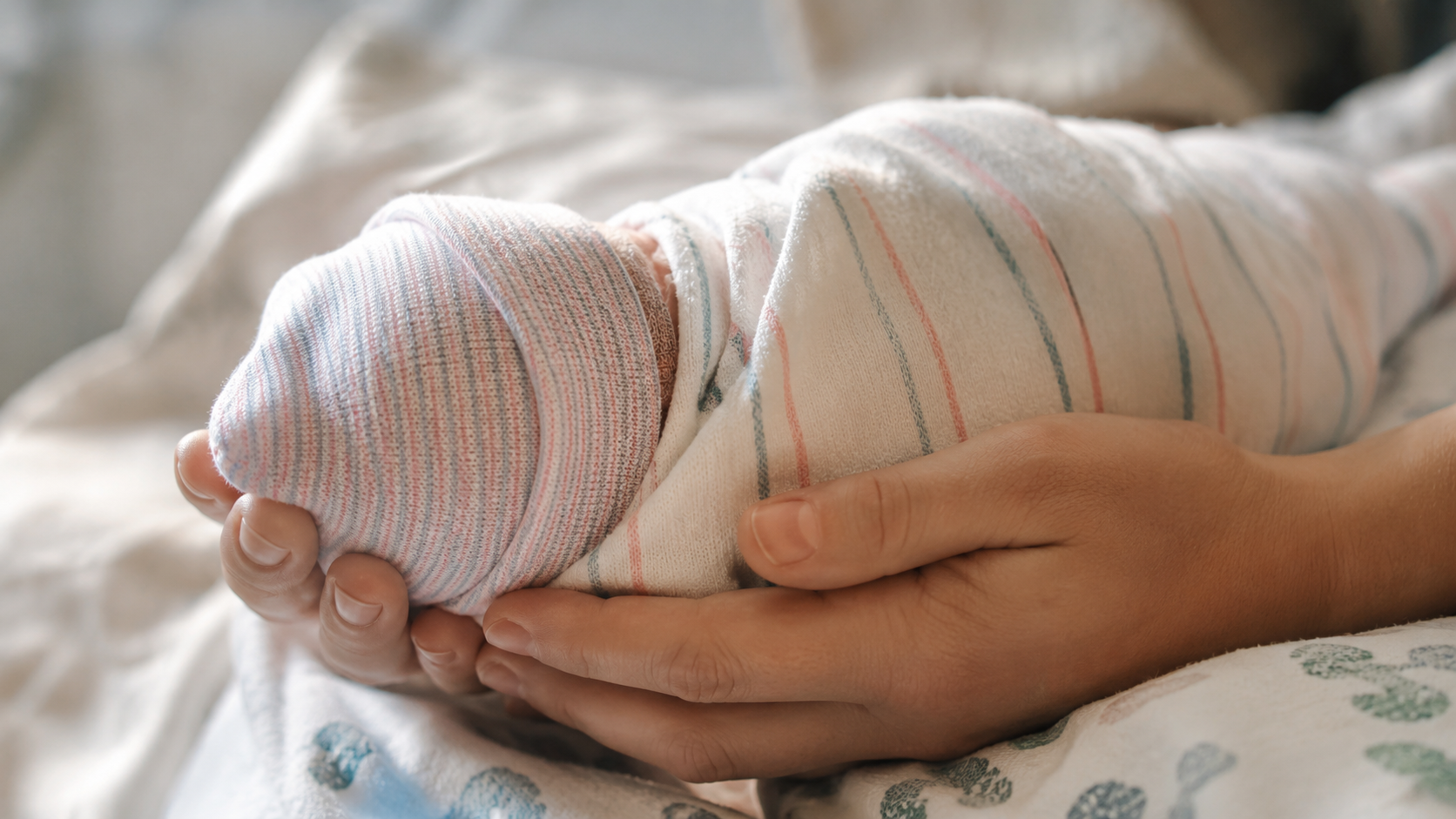 Deux mains d'adulte soutiennent délicatement un tout petit nouveau-né emmailloté dans une couverture d'hôpital