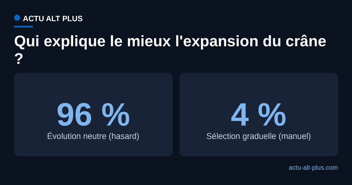 Sur le principal axe d'expansion du crâne, l'évolution neutre recueille 96 % du soutien statistique contre 4 % pour la sélection graduelle du manuel