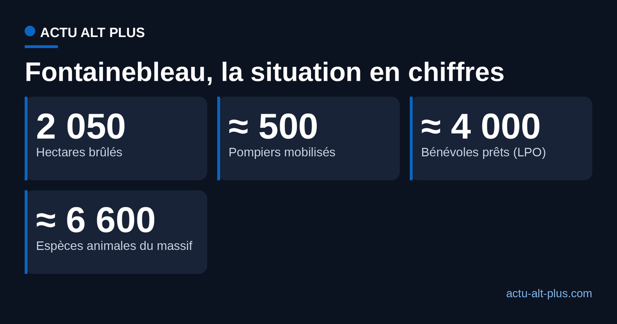 Fontainebleau en chiffres : 2 050 hectares brûlés, environ 500 pompiers mobilisés, près de 4 000 bénévoles prêts, environ 6 600 espèces animales dans le massif.