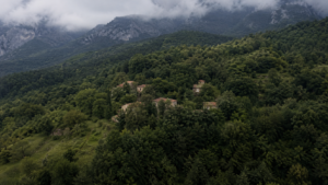 Italie : la forêt dépasse les terres agricoles, une première depuis le Moyen Âge