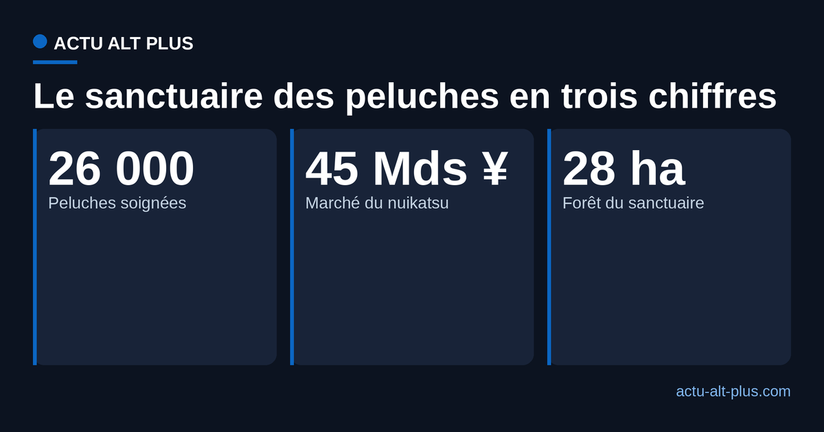 Trois chiffres clés du sanctuaire des peluches et du phénomène nuikatsu au Japon.