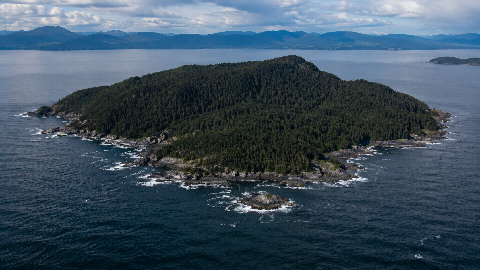 Ile temperee boisee entouree d'ocean, vue aerienne