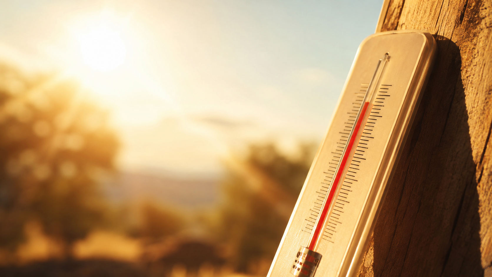 Thermomètre générique sous un soleil dur, sans chiffre lisible, évoquant une forte chaleur