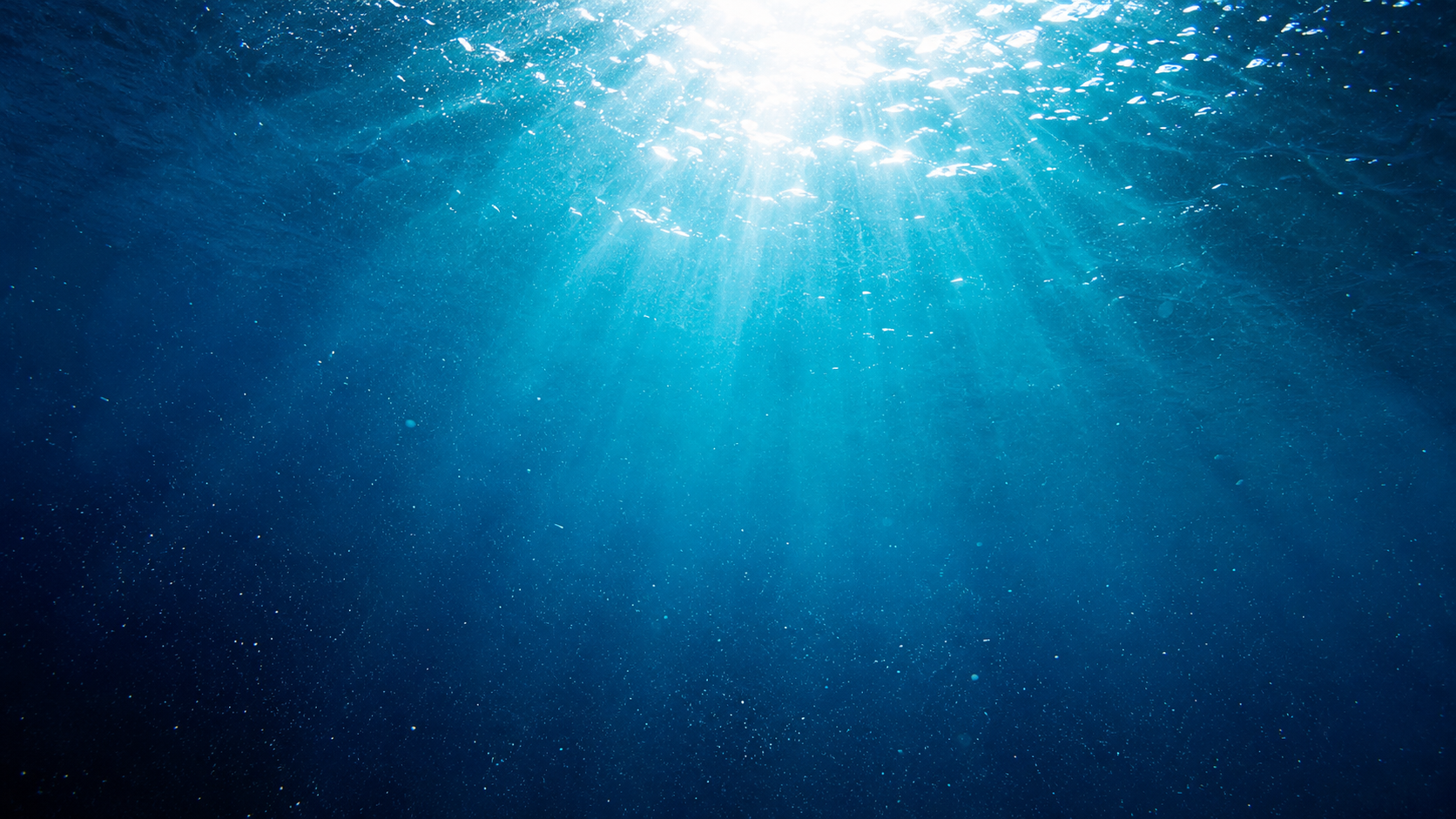 Vue sous-marine en contre-plongée vers la surface éclairée de l'océan, rais de lumière et particules en suspension