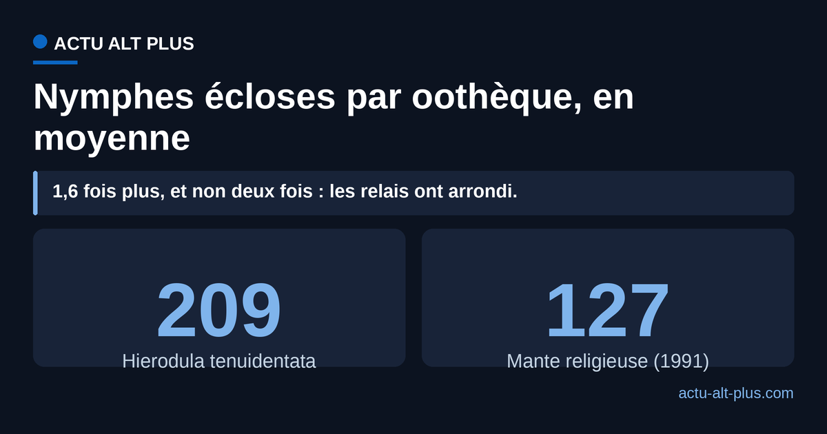 Comparaison du nombre moyen de nymphes écloses par oothèque entre Hierodula tenuidentata, 209, et la mante religieuse indigène, environ 127