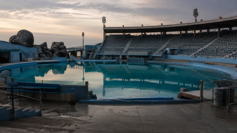 Grand bassin à dauphins vide au crépuscule, gradins gris déserts reflétés dans l'eau turquoise immobile