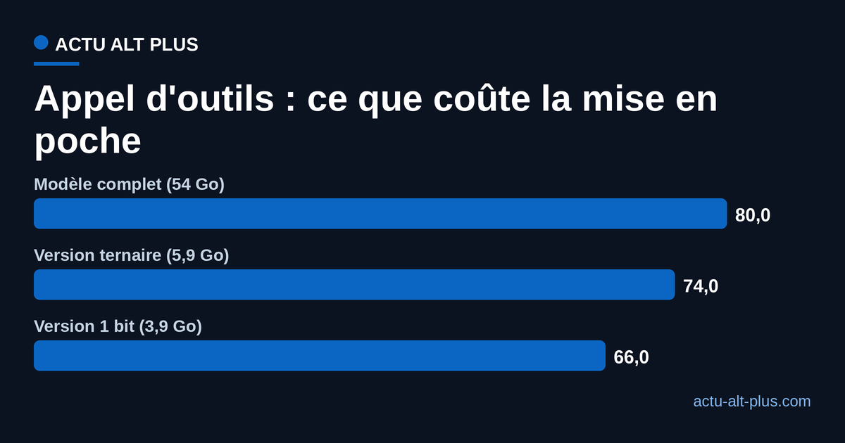 Score d'appel d'outils du modèle complet, de sa version ternaire et de sa version à 1 bit