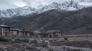Un ours brun au loin dans un décor de station de montagne d'altitude