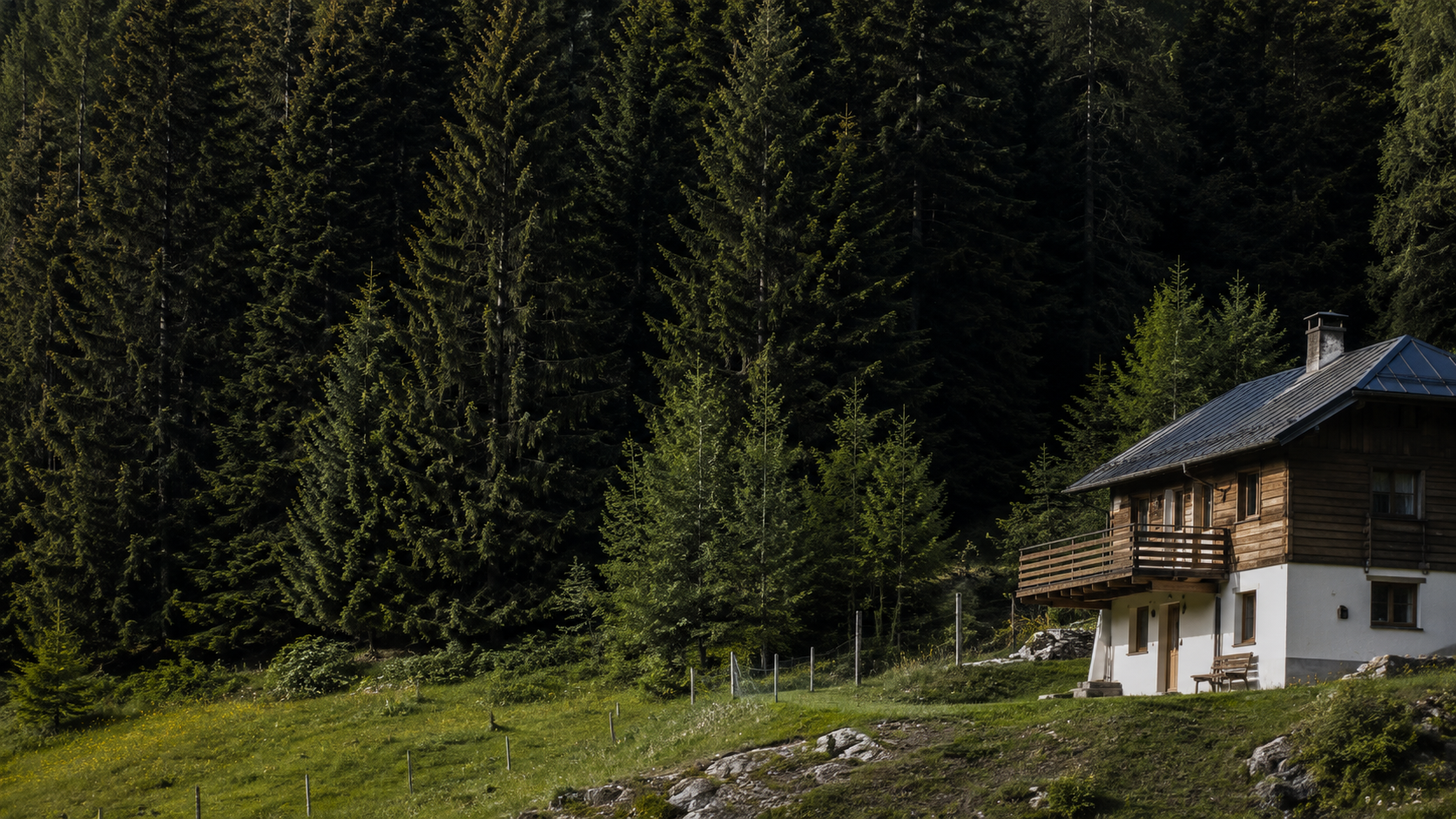Lisière de forêt de montagne au bord d'un chalet isolé