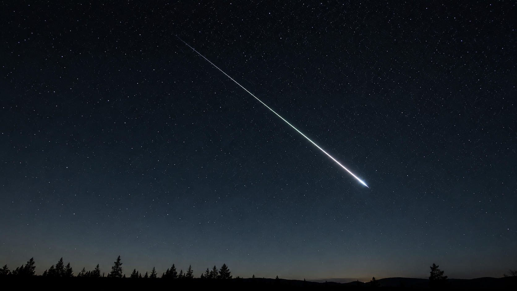 Une longue traînée de météore brillante traverse un ciel étoilé très sombre au-dessus d'une ligne d'arbres