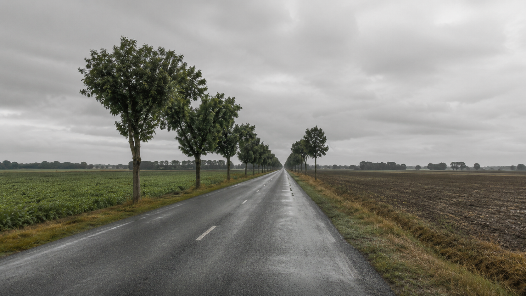 Une longue route rectiligne traversant des champs plats sous un ciel gris