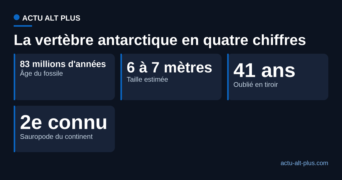 Quatre repères chiffrés de la vertèbre antarctique : âge, taille, années passées en tiroir et rang de sauropode.