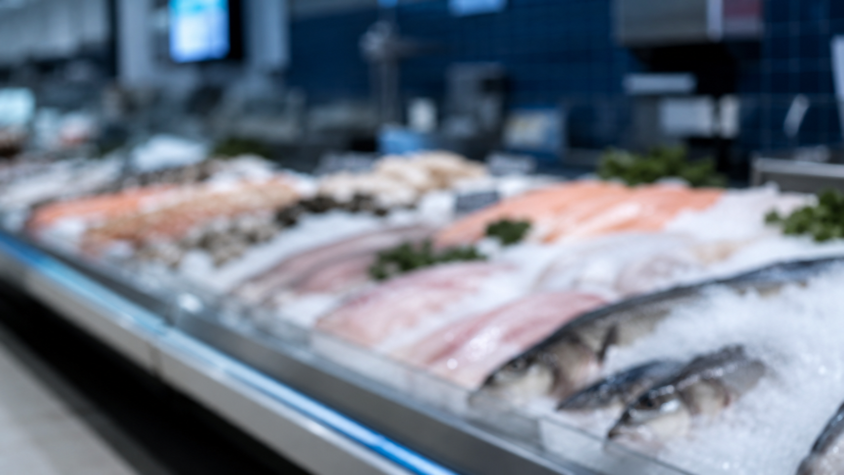 Rayon poissonnerie flou d'un supermarche, vitrine refrigeree sans marque lisible