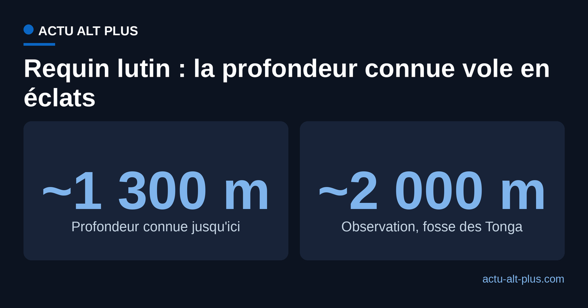 Comparaison entre la profondeur connue du requin lutin et l'observation record de la fosse des Tonga