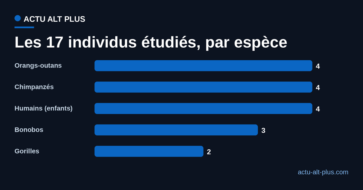 Nombre d'individus enregistrés par espèce dans l'étude : 4 orangs-outans, 2 gorilles, 3 bonobos, 4 chimpanzés, 4 humains.