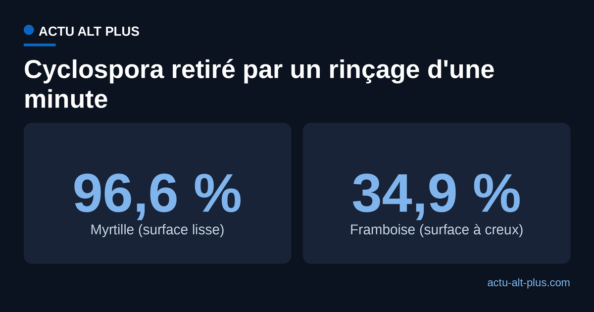 Comparaison du taux de retrait des oocystes de cyclospora par un rinçage d'une minute sur myrtille et sur framboise