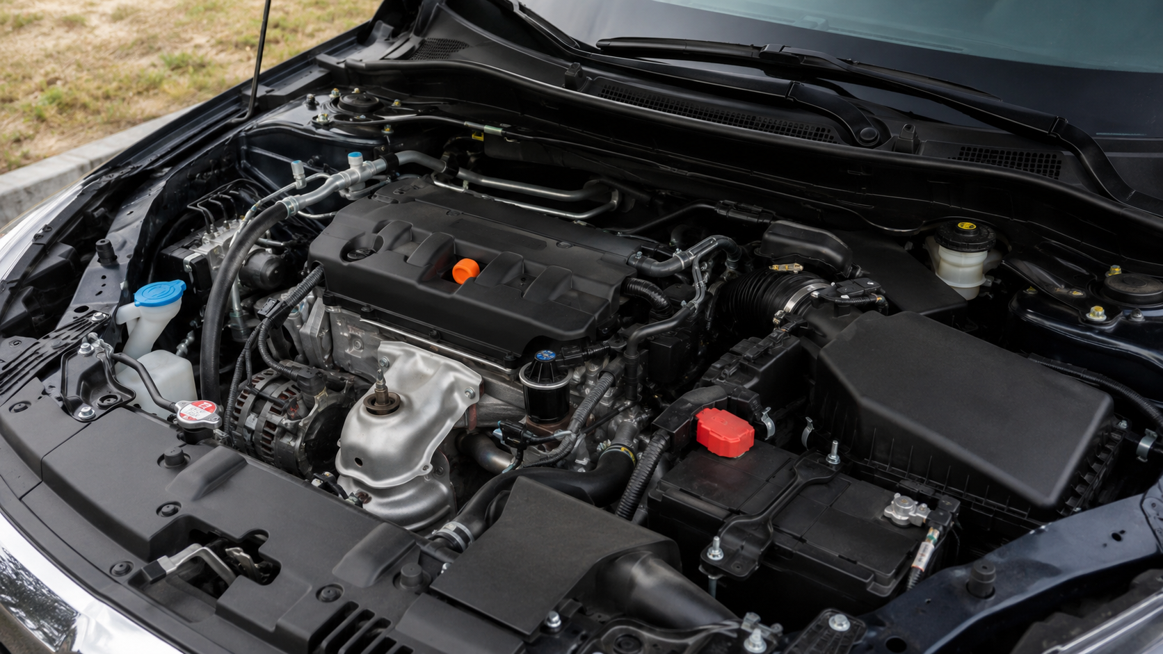 Compartiment moteur d'une voiture essence, capot ouvert, vu en lumière naturelle