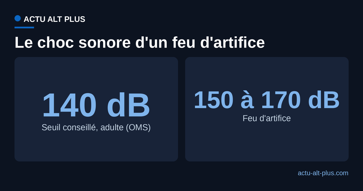 Comparaison entre le seuil d'exposition sonore conseillé par l'OMS pour un adulte et la pression sonore d'un feu d'artifice.