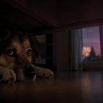 Un chien apeuré caché sous un meuble tandis que des feux d'artifice brillent au loin par la fenêtre.