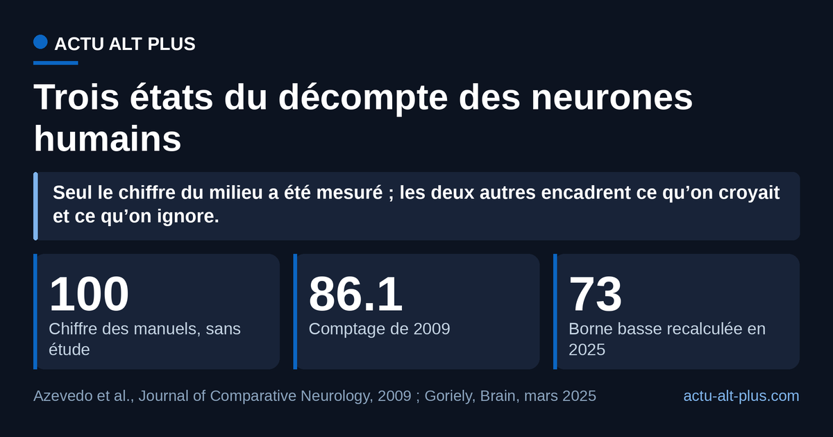 Trois cartes chiffrées : 100 milliards de neurones pour le chiffre des manuels, 86,1 milliards pour le comptage de 2009, 73 milliards pour la borne basse de l’intervalle recalculé en 2025.