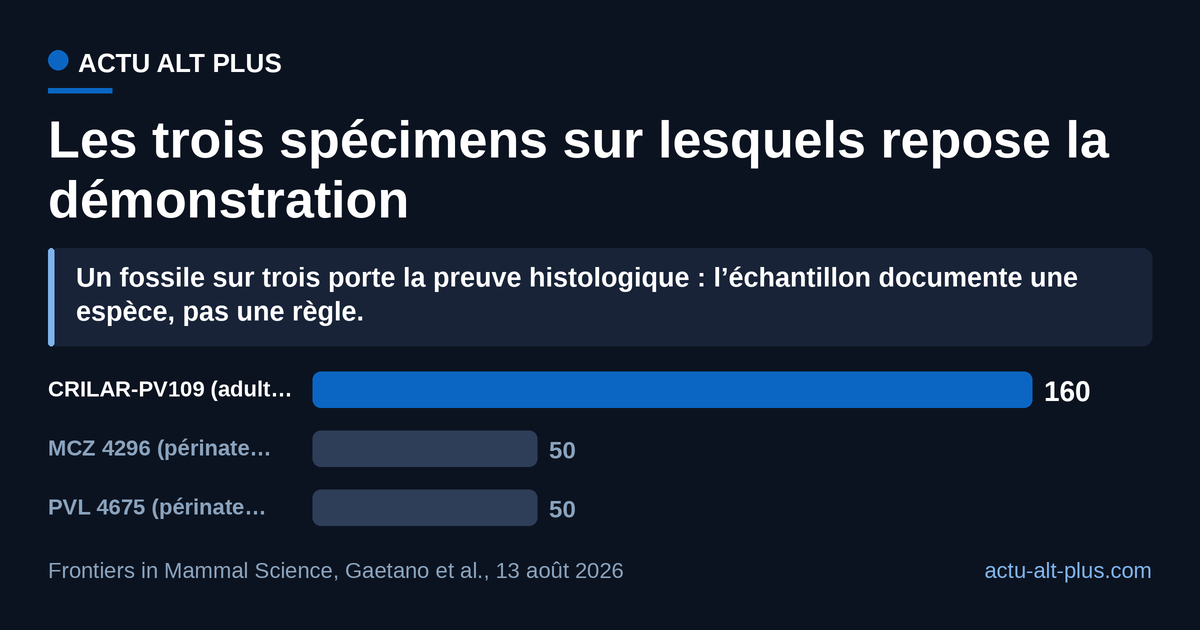 L’écart entre l’adulte de 160 mm et les deux crânes de 50 mm est ce qui fait la démonstration : un seul de ces trois fossiles, CRILAR-PV109, a été coupé en lame mince, les deux périnates sont classés sur leur seule taille.