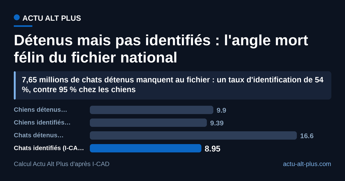 À peine plus d'un chat détenu sur deux figure au fichier national d'identification, quand les chiens y sont presque tous : environ 7,65 millions de chats échappent à une obligation légale. Limite méthodologique : les populations détenues sont des estimations d'enquête (FACCO-Odoxa 2024), le fichier I-CAD un registre au 31 décembre 2025.
