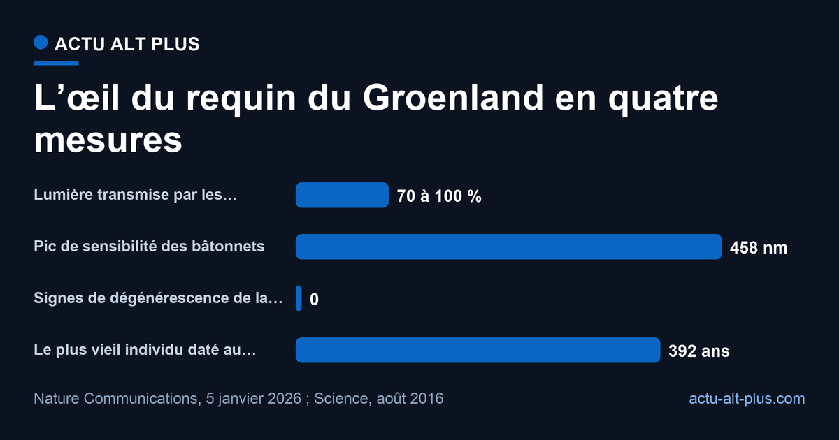 Les quatre mesures pointent dans le même sens : l’œil reste fonctionnel. Limite : six cornées et trois rétines seulement, sur des animaux morts, sans test comportemental.