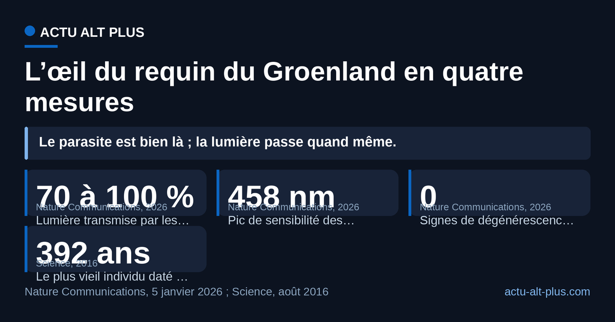 Les quatre mesures pointent dans le même sens : l’œil reste fonctionnel. Limite : six cornées et trois rétines seulement, sur des animaux morts, sans test comportemental.