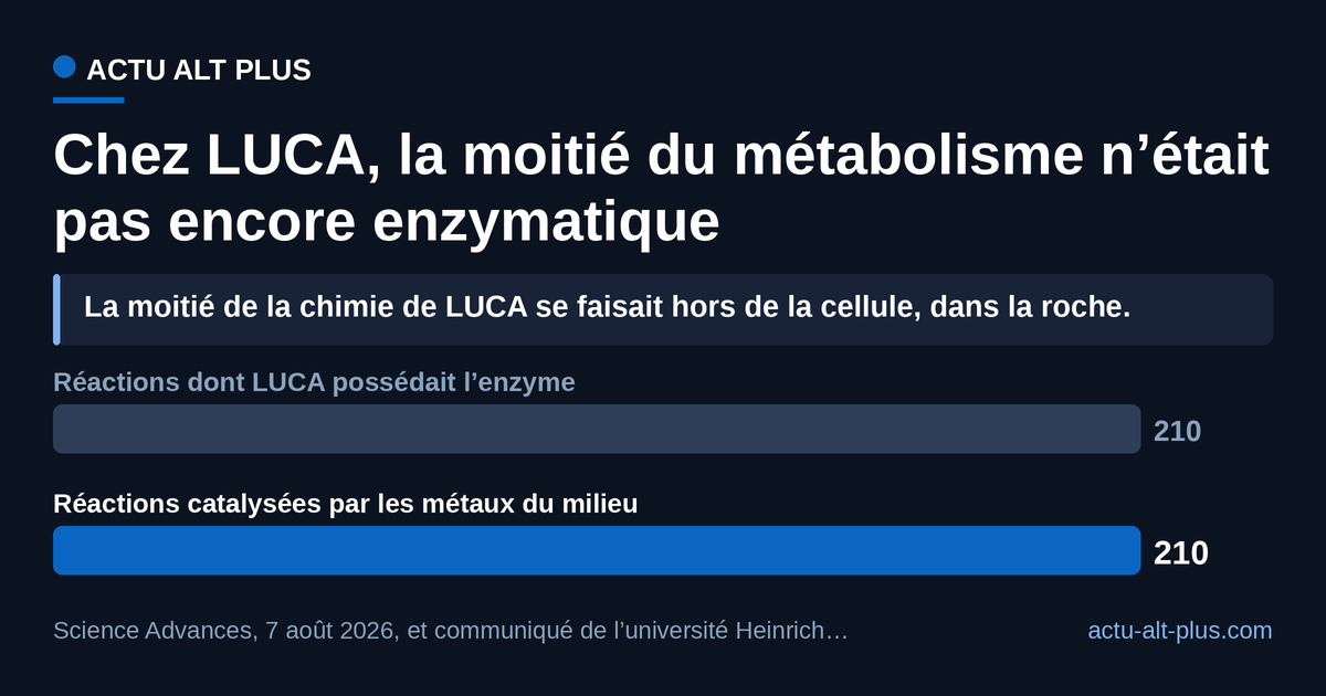 Sur les 420 réactions du réseau métabolique reconstitué, l’ancêtre commun universel ne disposait d’enzymes que pour environ la moitié : le reste était catalysé par les métaux natifs de son milieu hydrothermal. Répartition obtenue en appliquant aux 420 réactions le « environ la moitié » de William F. Martin ; les auteurs ne publient pas de décompte exact des deux moitiés.